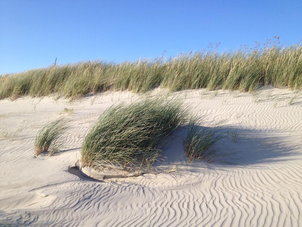 Hotel Twilling Sankt Peter-Ording Exterior foto