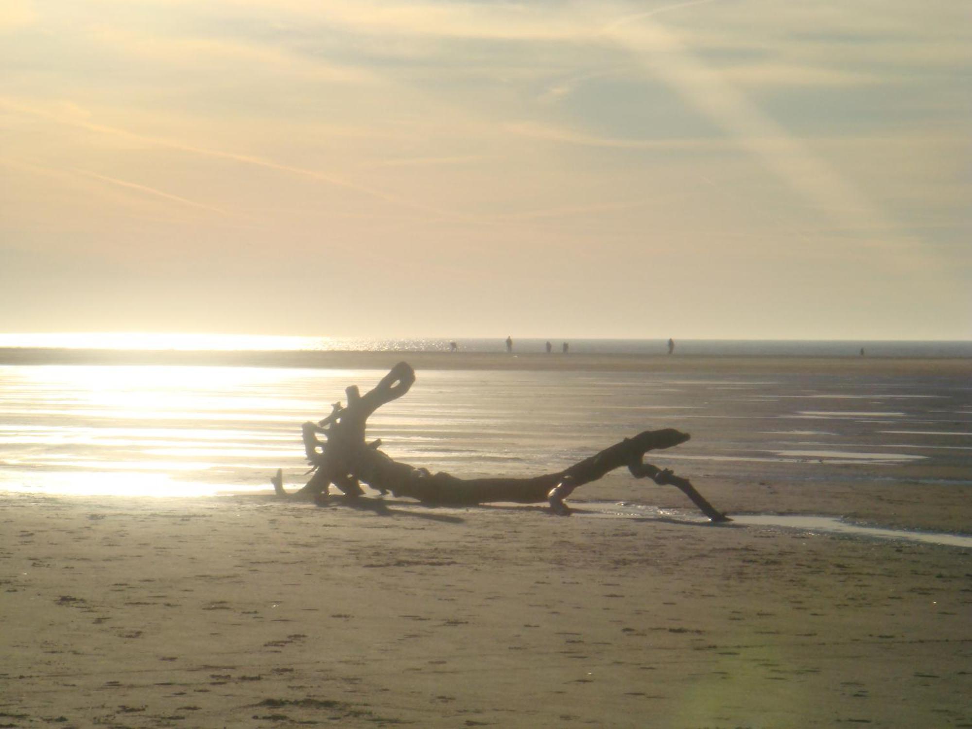 Hotel Twilling Sankt Peter-Ording Exterior foto